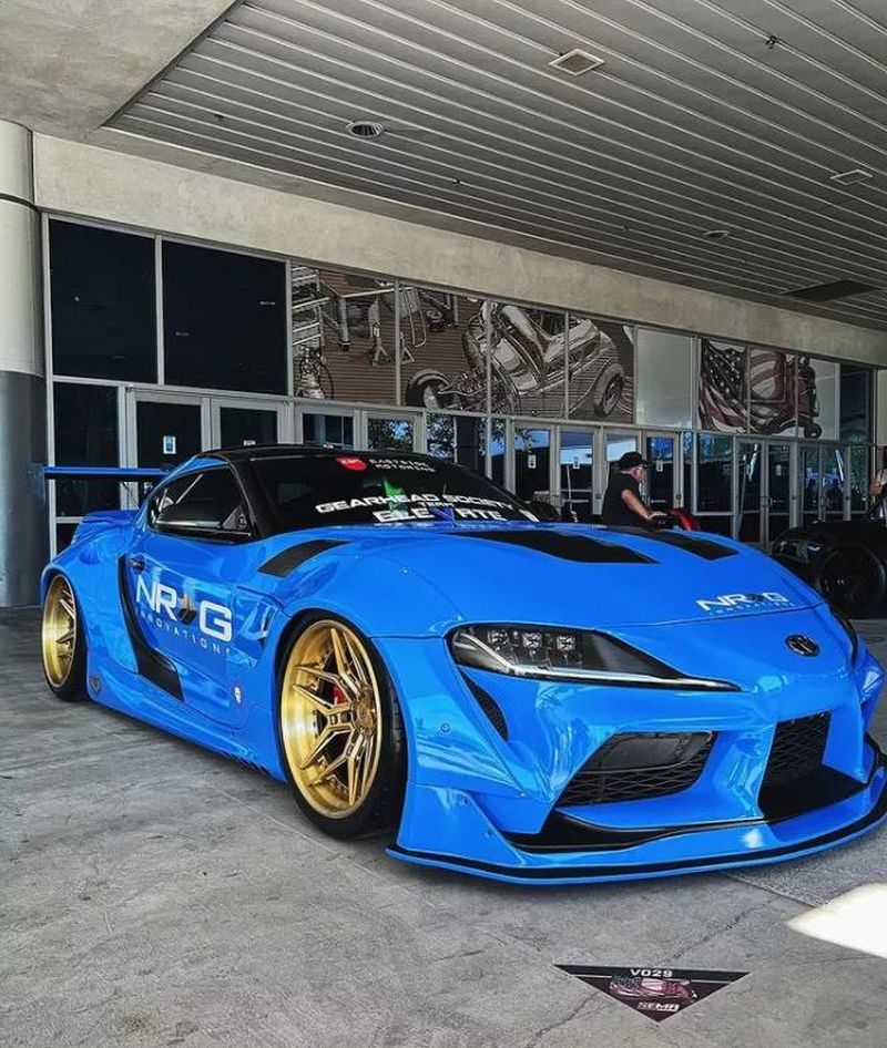 vossen 2.jpg